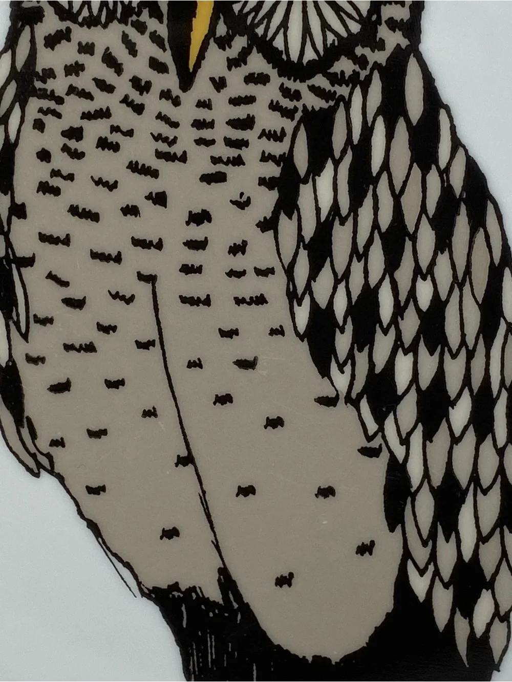 West Elm Owl Plate 8.5”Serving Art Drawing Display Bird Ceramic Birding EUC